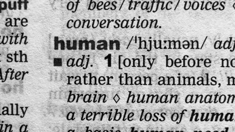 Lexikoneintrag „human“
