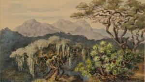 Drawing of Haeckel's journey to "Ceylon"