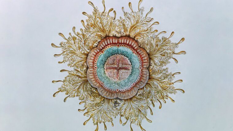 Gemalte Meduse (Deckenmalerei im Ernst-Haeckel-Haus)